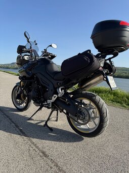Triump tiger 1050 - 13