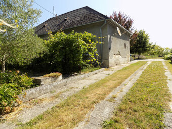 Na predaj dom s ovocným sadom 4401m2 -Veľké Kosihy. - 13