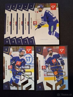 SHL 2024/25 - 13