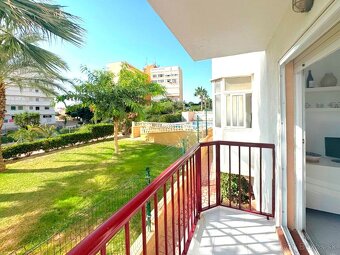 Apartmán v Španielsku v Torrevieja. - 13