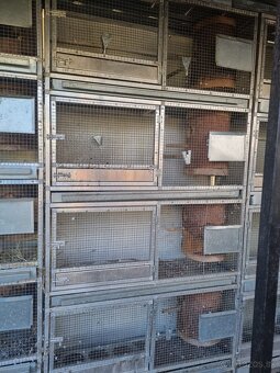 Voliéry..Klietky.Zajačník - 13