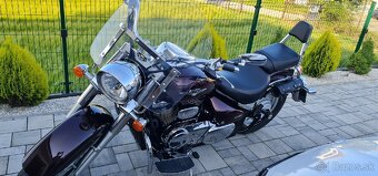 Suzuki VL800 intruder volusia boulevard k9 2011 - 13