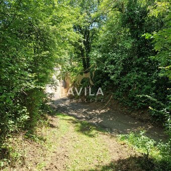 Na predaj rekreačný pozemok 2 920 m², Nové Mesto nad VáhomLo - 13