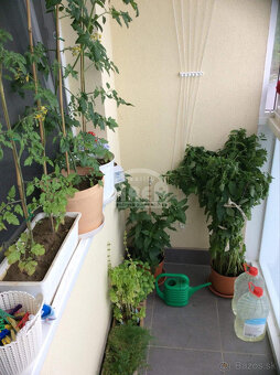 Na prenájom 4- izbový byt na sídlisku SNP v Michalovciach - 13