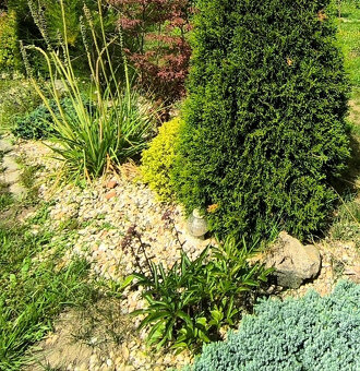 JEDINEČNÝ RODINNÝ DOM VHODNÝ AJ AKO CHALUPA PO KOMPLETNEJ KV - 13