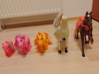 Koníky a poníky - 13