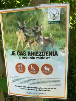Predám pozemky v krásnom malebnom prostredí - 13