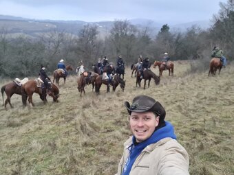 Quarter horse,QH valach.akciová cena. - 13