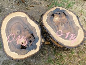 Koláče -  orechové drevo, fošne, rezivo - 13