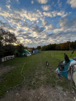 Ustajnenie v Lehote pod Vtáčnikom - 13