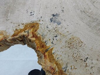 Výnimočný kus zkamenelého dreva – 23 mil rokov stará - 13