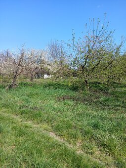 Pozemok Slepčany - 13