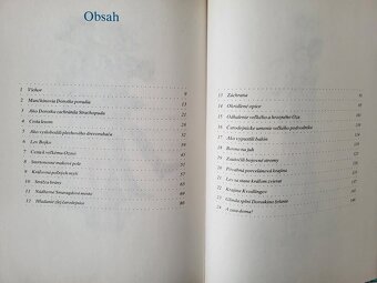 L. Frank Baum - Čarodejník z kajiny Oz - 13