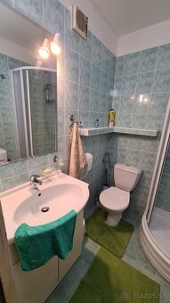 Prenájom 1 izbovy byt, Lamač - 13