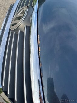 Passat B6 bez dpf - 13
