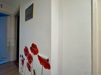 MAĎARSKO - MÉRA 4 IZBOVÝ POSCHODOVÝ RODINNÝ DOM S GARÁŽOU. - 13