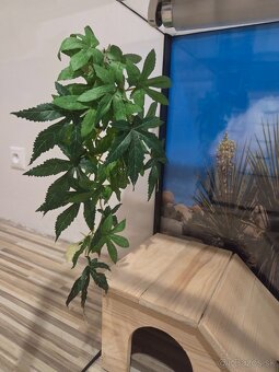 Terárium s vybavením - 13