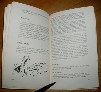 Lovecké praktikum - 13