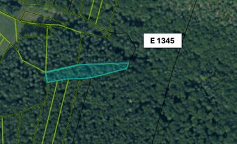 Omastiná – 9.909 m2 LESY a PASIENKY – PREDAJ - 13