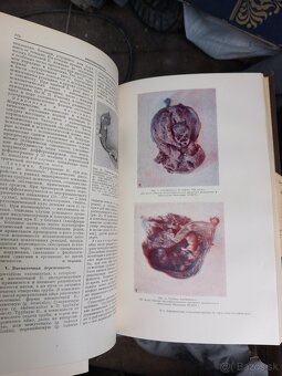 Knihy medicina lekarske.anatomia - 13