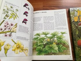 Knihy pre pestovateľov, zberateľov rastlín a iné (14 kníh) - 13