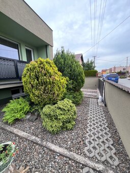 🌳 kosenie, orez / výrub stromov, ,odvoz 🌿 - 13