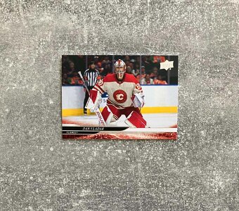 Hokejové kartičky / karty - Češi v NHL - 13