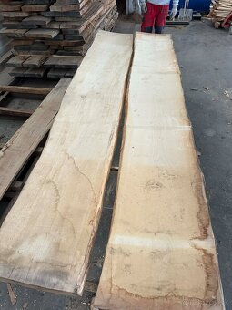 Vysušené javorové fošne, javor horský - 13