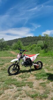 Pitbike MiniRocket Storm 125ccm 14/12" - 13