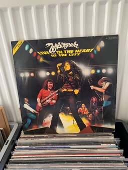 LP PLATNE - POP/ROCK - 13