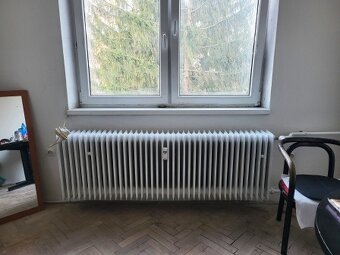 Výborný, veľký , slnečný byt v centre - nízky nájom - 13
