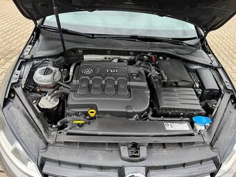 Volkswagen Golf 1.6Tdi,81kw,110ps,4x4 - 13