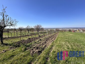 Pozemok s nádherným výhľadom na Skalicu–vinohrad so sklepom - 13