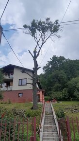 Rizikový výrub a orez stromov, kosenie a údržba pozemkov - 13