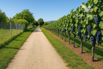 Rodinný dom LEVICE - PREDAJ - DOHODA NA CENE - 13