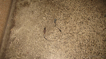 Honda civic 6g cast 2 - 13