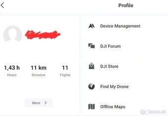 Dji Mavic Mini - 13