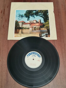 LP platne Polka (nie ľudovky) - 13