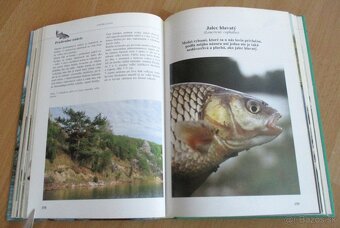 Rybárstvo – Lov dravých rýb na prívlač - 13