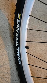 Kenzel Apolis Shade Damsky 27" - 13