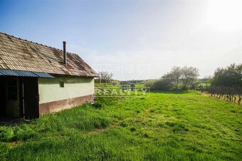 Na predaj pivničný dom, Svätý Peter, 464 m2 - 13