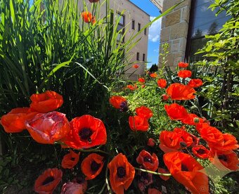 Prenájom izby v rodinnom dome Bánovce nad Bebravou. - 13