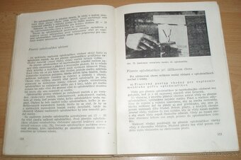 Chov včelích matiek - 13