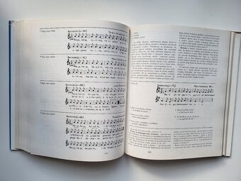Ján Podolák - Vajnory (vlastivedná monografia) - 13