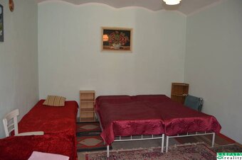 Chalúpka v typickom štýle Záhoria, pod starou lipou - 13