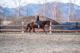 tréning koní - obsadanie - 13