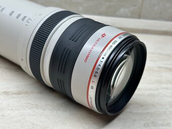 Canon 100-400mm f/4.5-5.6L IS II USM - 13