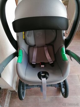 Kočiar Riko Marla - 13