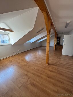 Prenájom obchodných a administratívnych priestorov v centre - 13