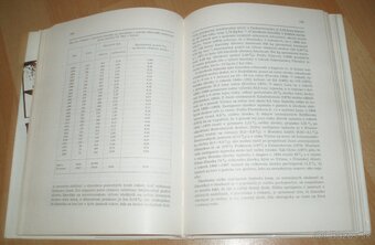 Hlavátka - 13